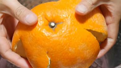 你家有吃剩的橘子皮嗎？這個用途太厲害了，花錢都不一定買的到