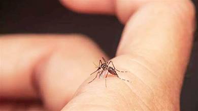 蚊子滅不完？別急，教你在家自製低成本驅蚊水，家裡蚊子再多也不怕