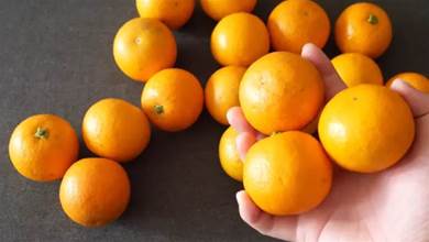 保存橘子不用放冰箱，教你3個方法，延長保質期，放到過年不會壞
